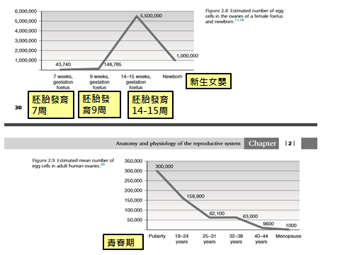 卵母細胞數量.png