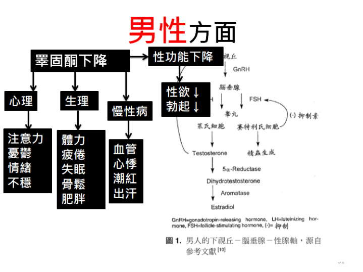 男性方面1.png